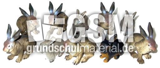 Hasen-10.jpg